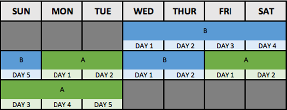 5-2-2-5 Parenting Schedule 